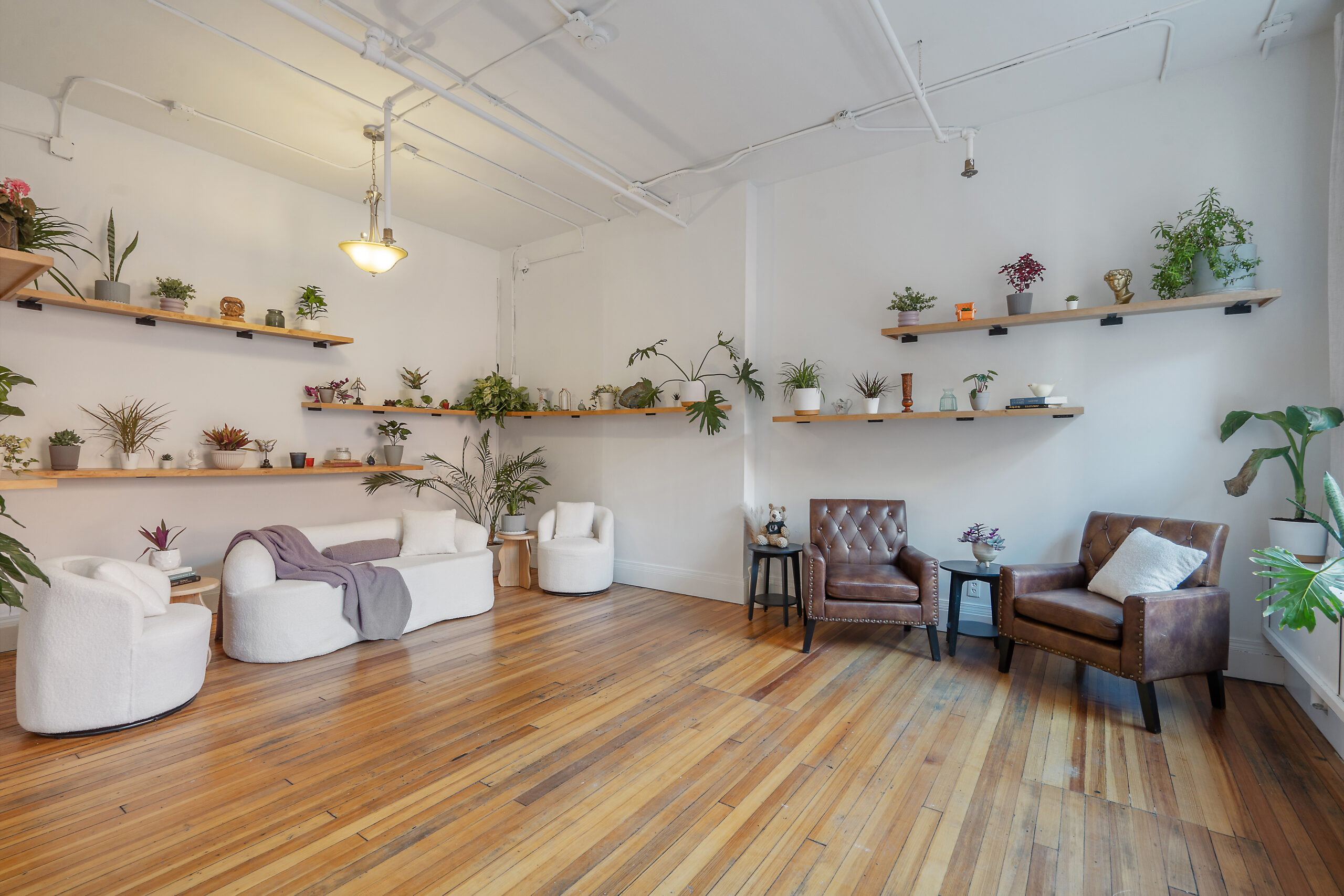 Natural light photo studio in Syracuse with plant-filled shelving and lounge seating